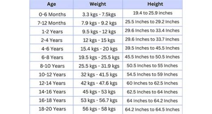 Susan Li Measurements – Find Her Age Height And More