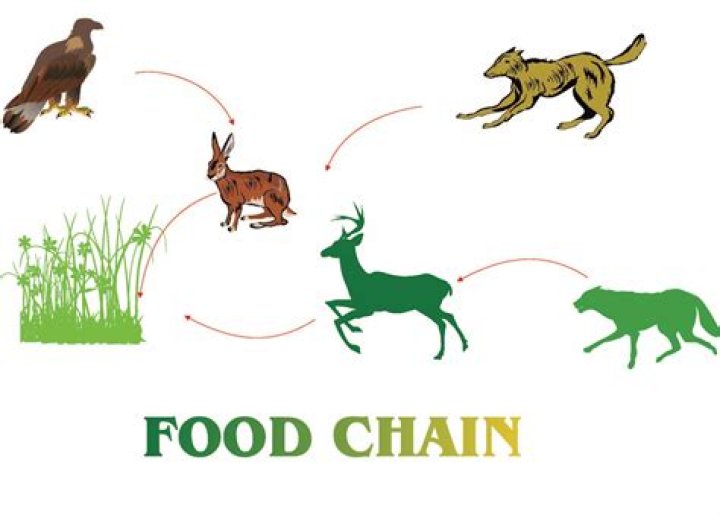Tamar Braxton Addresses A Popular Food Chain – See Her Clip