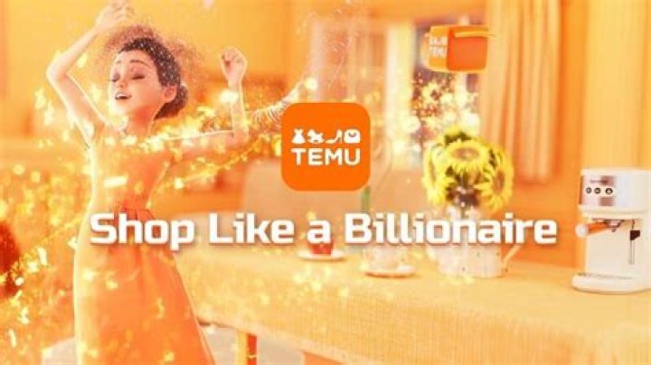 Temu Commercial Actress: Who is the temu girl? (2024)