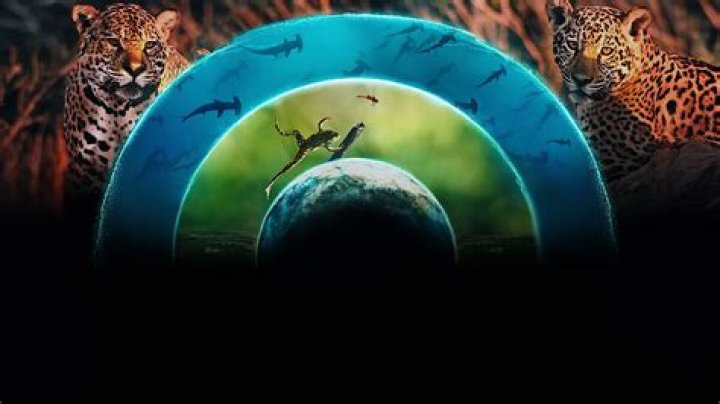 The best nature documentaries on Netflix and Disney Plus to watch on Earth Day 2022