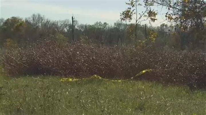 The body of Keniqua Dachelle King, 28, was found Tuesday near FM 521 and FM 1462, not far from the crash scene.