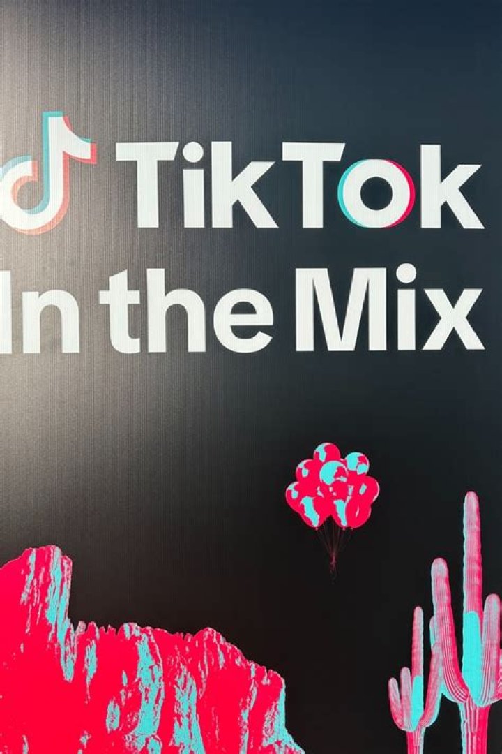 The Complete TikTok In The Mix lineup