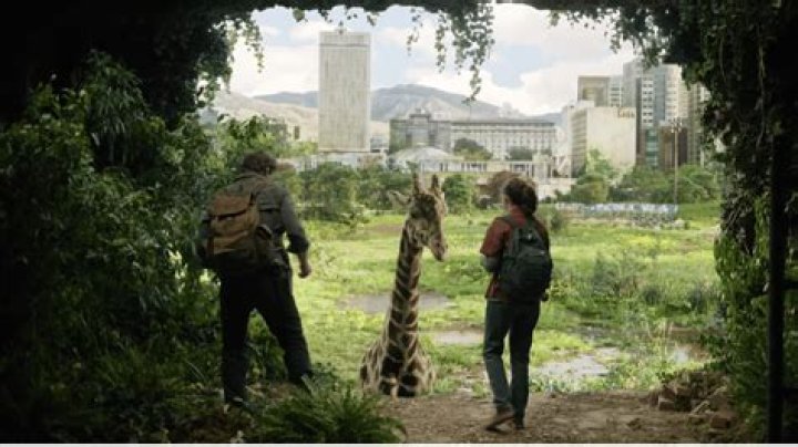 ‘The Last of Us’ gets stunning street art inspired by one of the show’s biggest moments