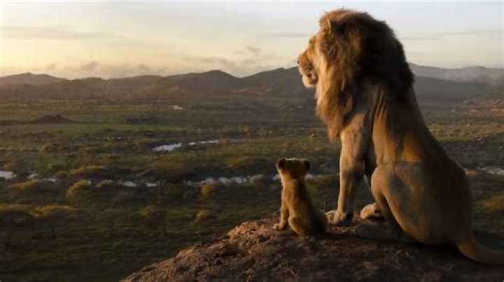 ‘The Lion King’ prequel star offers a reminder that it’s a thing that’s happening