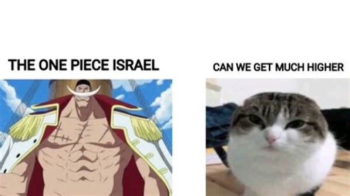 The ‘One Piece is real’ Twitter meme, explained
