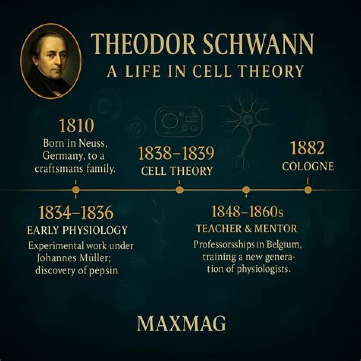 Theodor Schwann Biography - Childhood, Life Achievements & Timeline