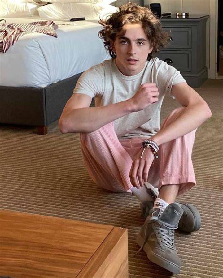 Timothée Chalamet (Actor) Wiki, Biography, Age, Height, Weight, Girlfriend, Net Worth, Career