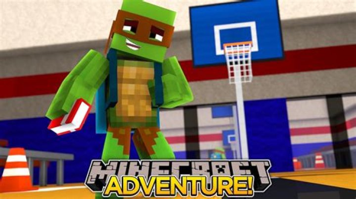 TinyTurtle Youtuber overview