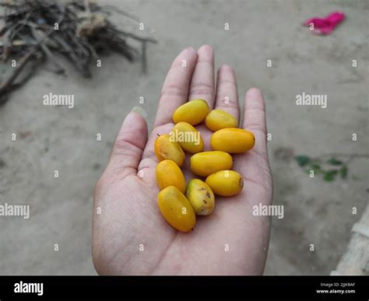 Toya Johnson Holds Paradise In The Palm Of Her Hand – Check Out Her Latest Pics Here