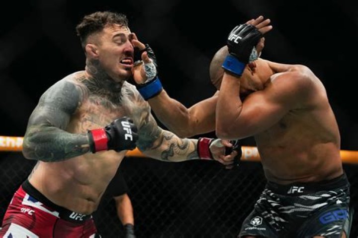 UFC: Who Is Priscila Cachoeira Husband? Her Parents Family And Eye Gouge Controversy Explained