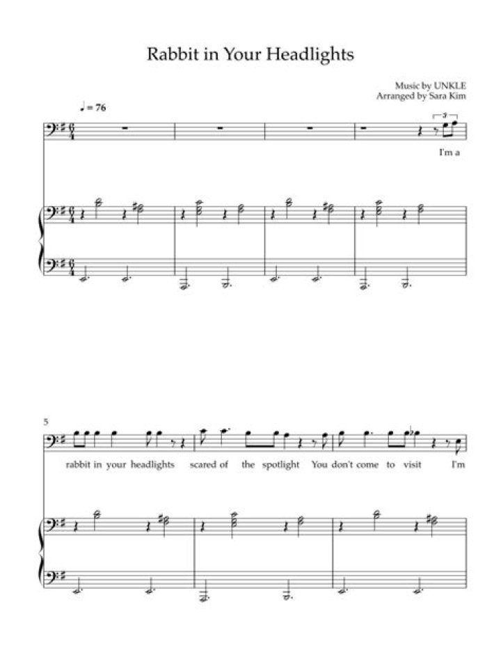 Unkle’s
Rabbit in your headlights Lyrics