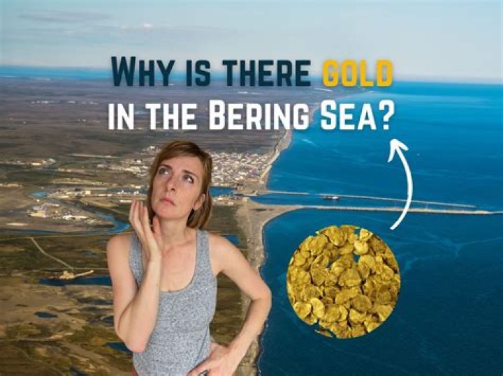 Vernon Adkison From Bearing Sea Gold Has Multiple Sources For Money, How Rich Is He?