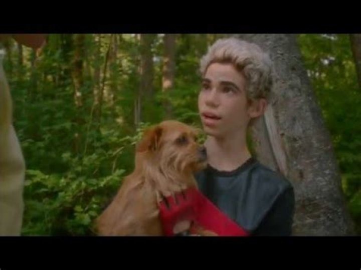 What breed is dude from Descendants? – Celebrity