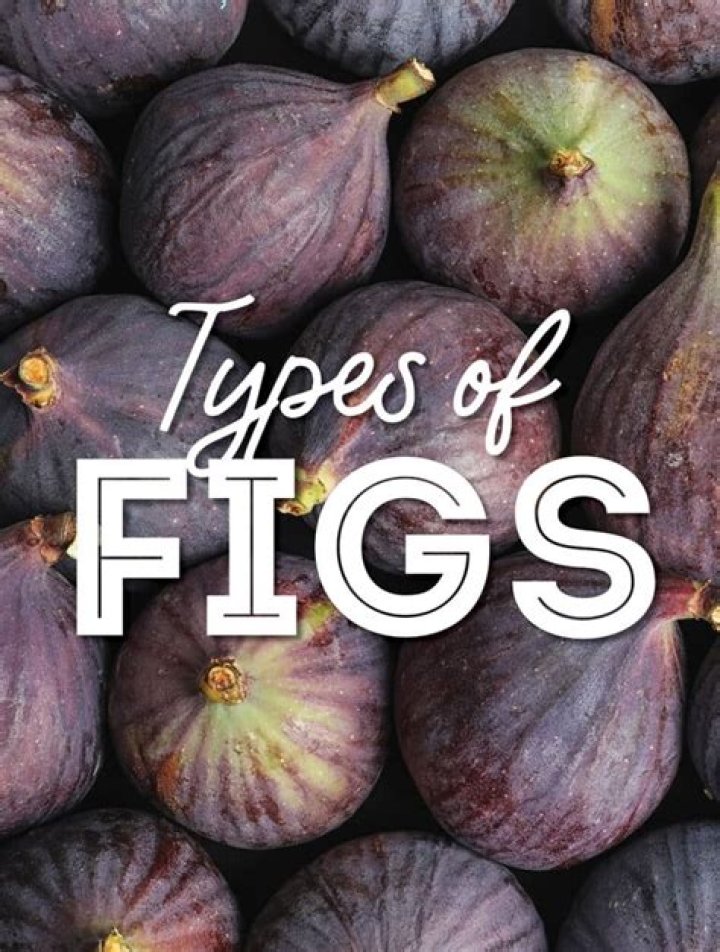 What Colors Do Figs Come In? – Celebrity