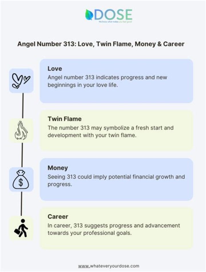 What Does 313 Mean In Twin Flame? – Celebrity