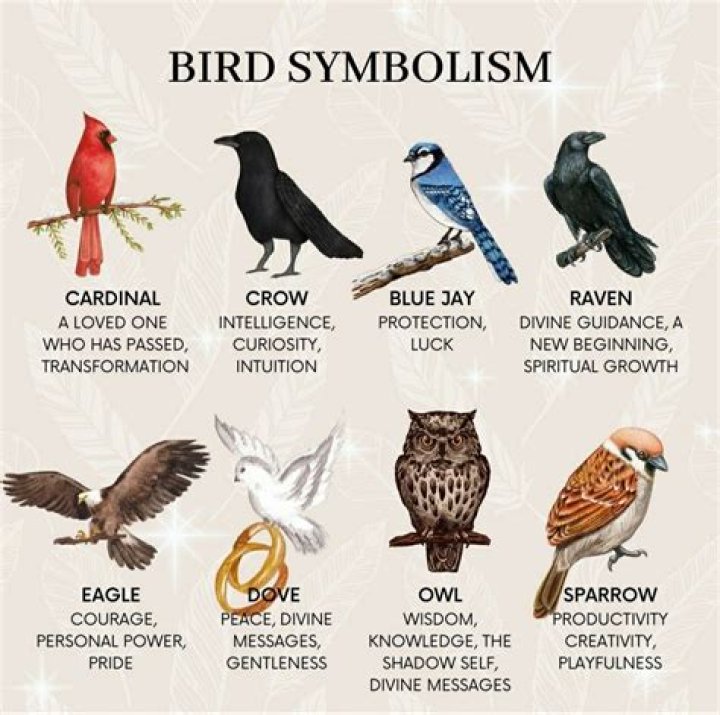 What does the phrase it’s for the birds mean? – Celebrity