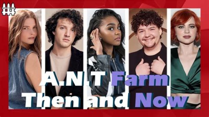 What happened to Gibson on A.N.T. Farm? – Celebrity