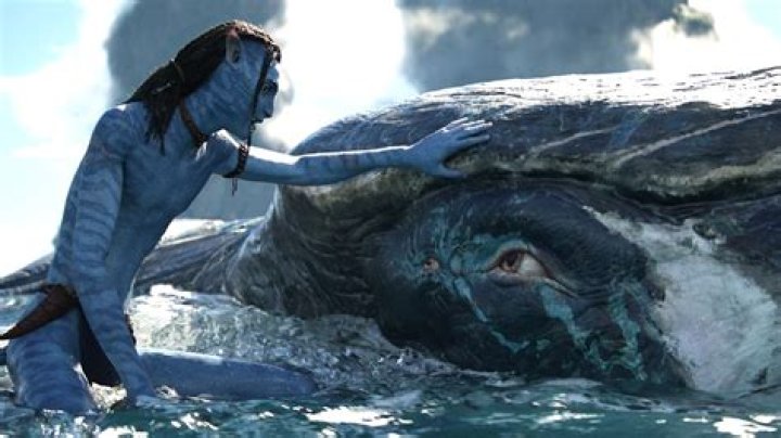 What happened to Payakan before ‘Avatar: The Way of Water?’