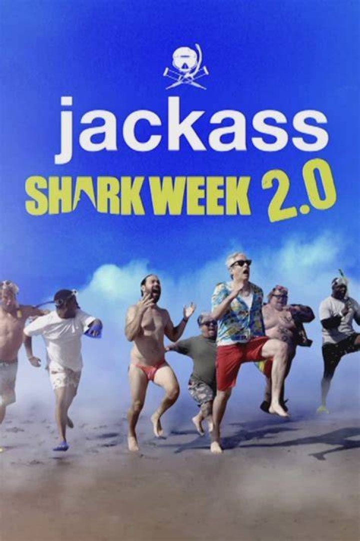 What Happened To Sean McInerney From Jackass? Shark Bite Update