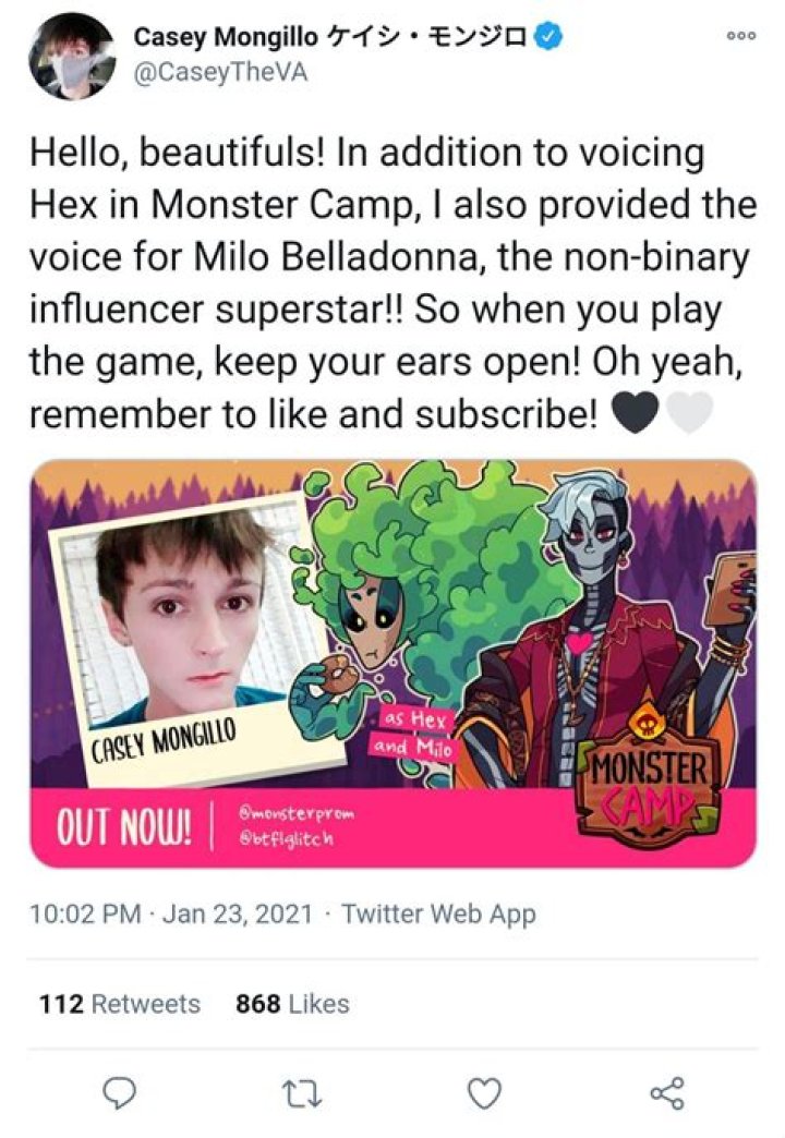 What Is Casey Mongillo Gender? Learn Everything About The American Voice Actor