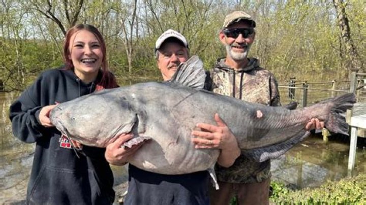 What Is The Best Episode Of Catfish Ever? – Celebrity