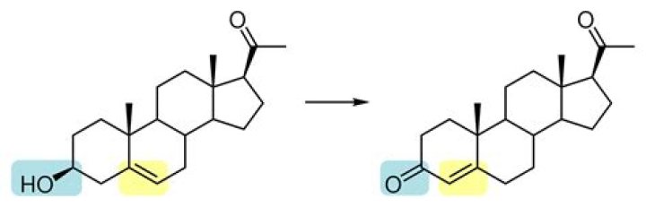 What is the Difference Between DHEA and Pregnenolone