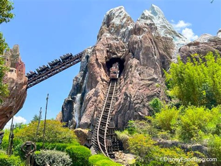 What is the fastest ride in Disneyland? – Celebrity