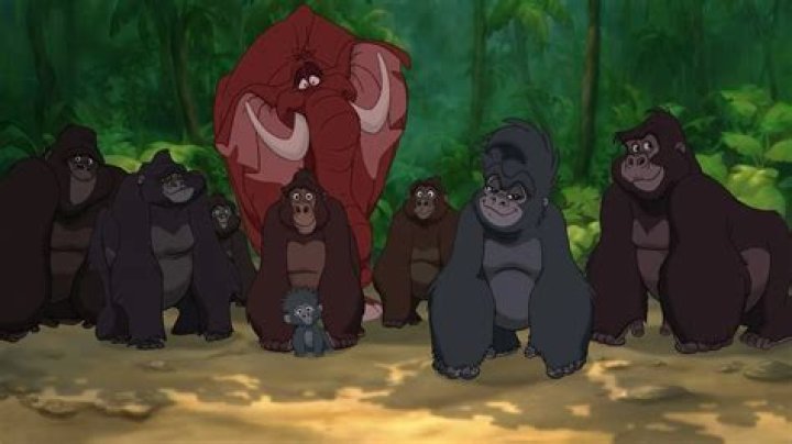 What is the name of Tarzan monkey? – Celebrity