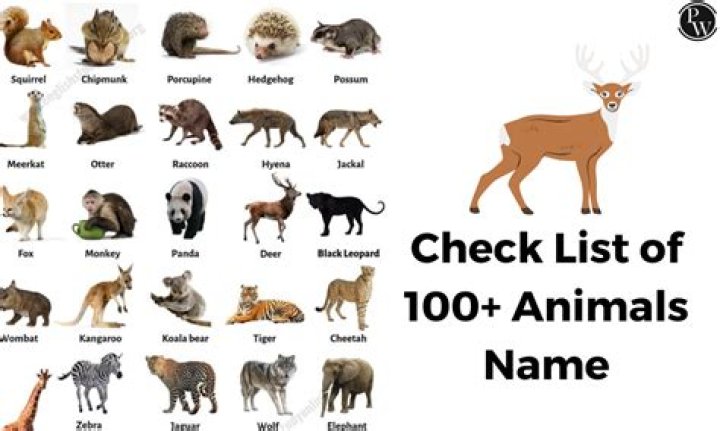 What is the name of the animal that killed Mufasa? – Celebrity