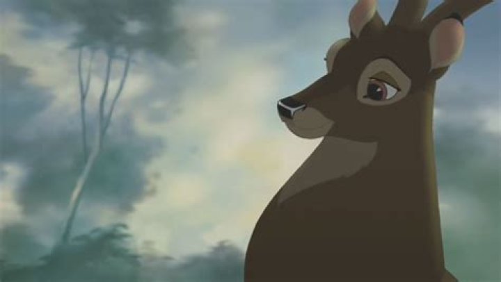 What kind of deer is Bambi’s dad? – Celebrity
