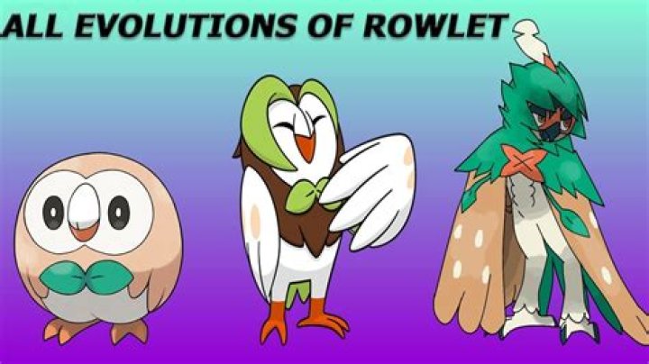 What Owl Is Rowlet Based On? – Celebrity