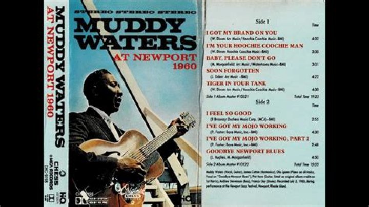 What was Muddy Waters net worth at the time of death?