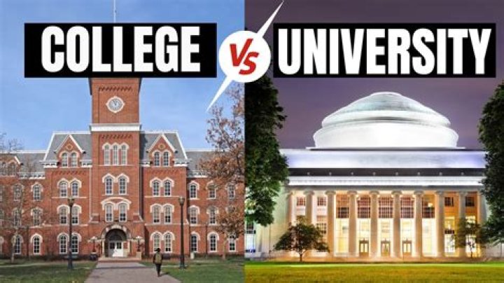 Where did Alex Jones go to college and high school?