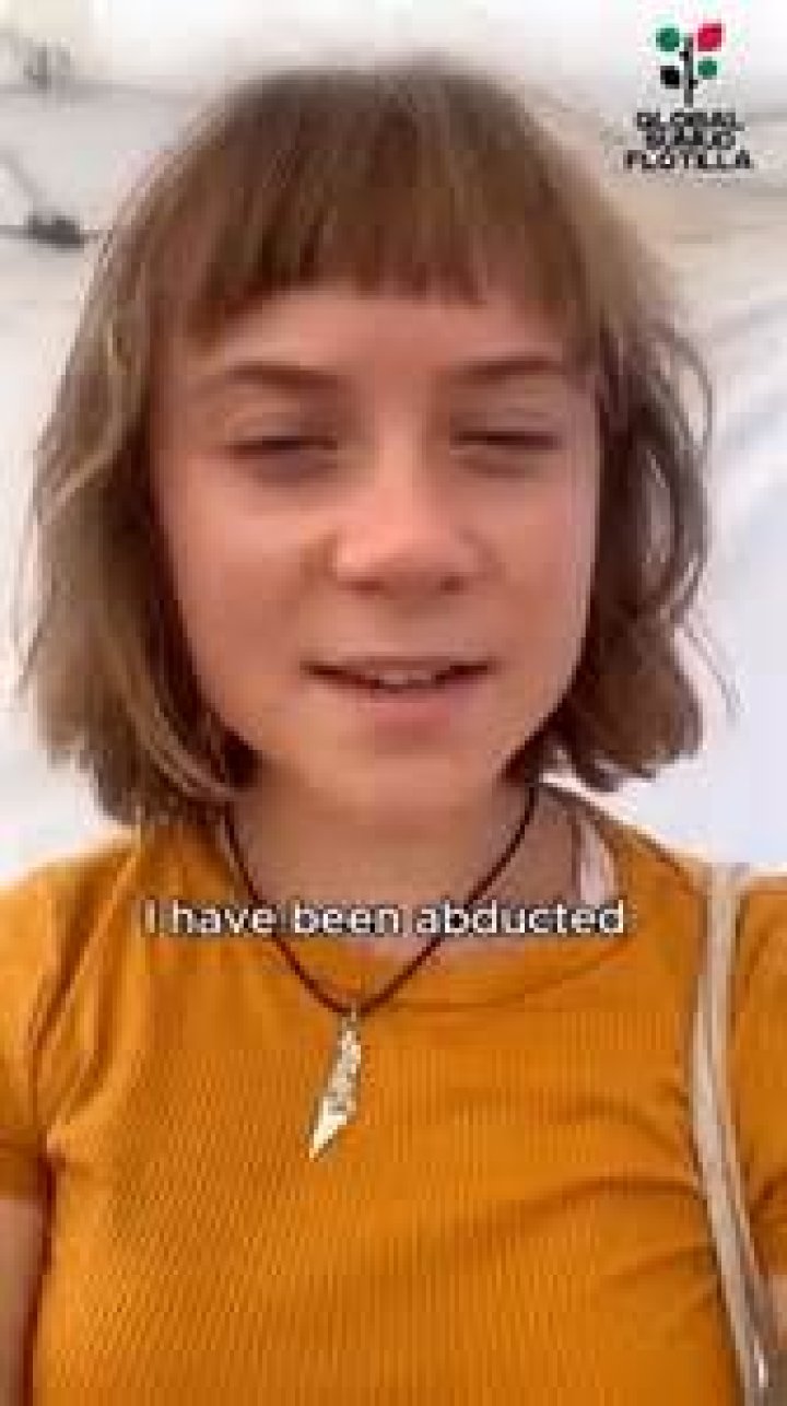 Where did Greta Thunberg go to high school? Is Greta Thunberg in college? Does Greta Thunberg have a degree?
