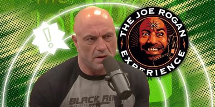 Where did Joe Rogan go to college and high school?
