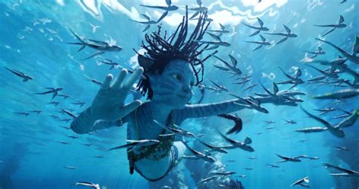 Where were the underwater scenes in Splash filmed? – Celebrity