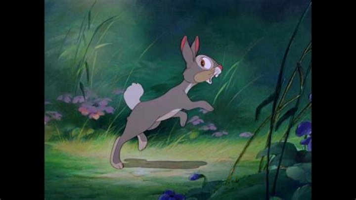 Who does Thumper fall in love with? – Celebrity