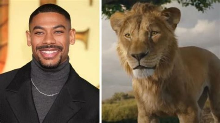 Who has played Mufasa in The Lion King on Broadway? – Celebrity