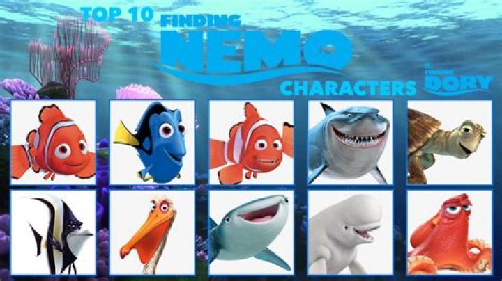 Who is Bruce in Finding Nemo? – Celebrity