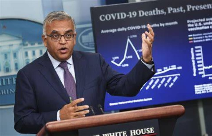 Who is Dr. Ashish Jha? (Coronavirus) Bio, Wiki, Age, Net Worth, Parents, Wife and Harvard