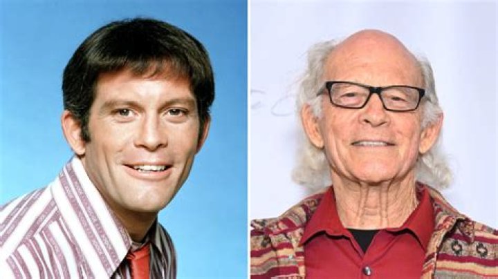 Who is Max Gail and How Much is He Worth?