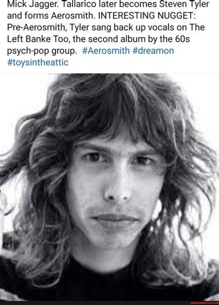Who is older Mick Jagger or Steven Tyler?