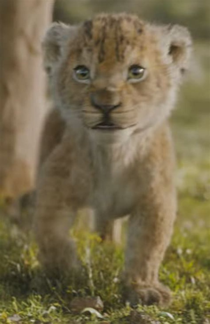 Who is Simba and Nala’s baby? – Celebrity