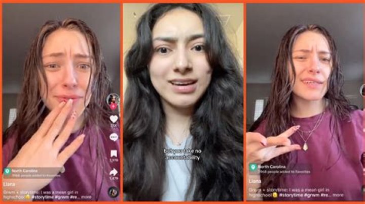 Who is TikTok bully Liana and has she finally met the David to her Goliath?