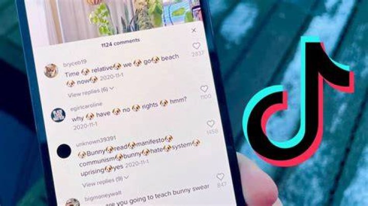 Who Is Valherreraaa On TikTok? Telegram and Reddit Bio
