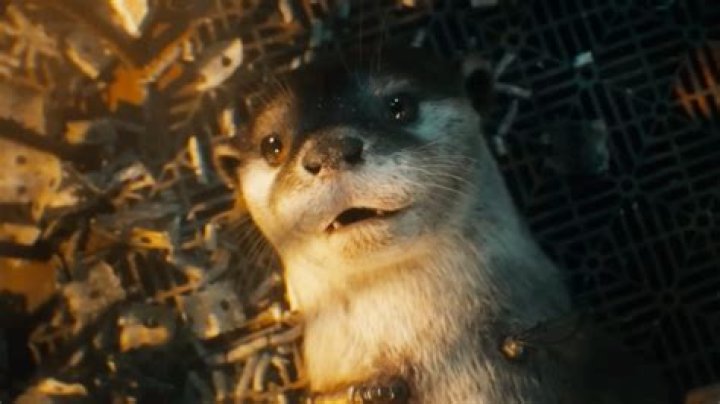 Who voices Lylla the Otter in ‘Guardians of the Galaxy Vol. 3?’