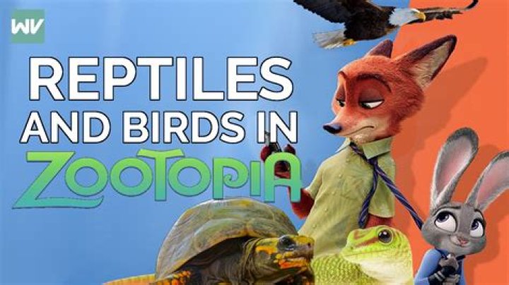 Why are there no birds in Zootopia? – Celebrity