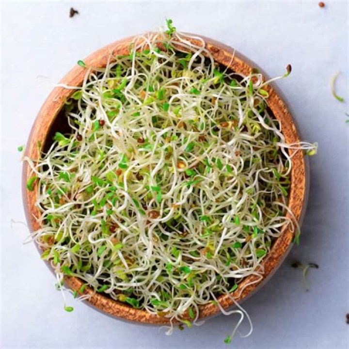 Why do bean sprouts taste bitter