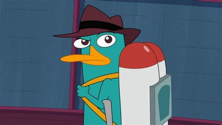Why do Phineas and Ferb have a platypus? – Celebrity