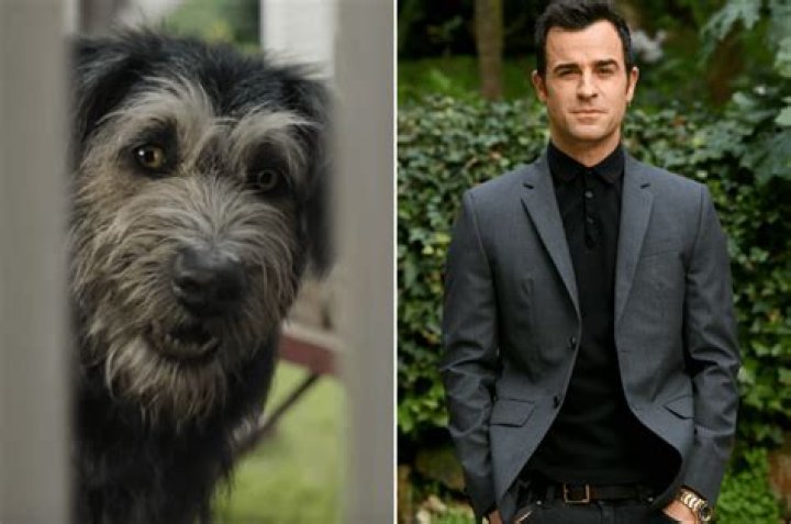 Why is Jock a girl in New Lady and the Tramp? – Celebrity